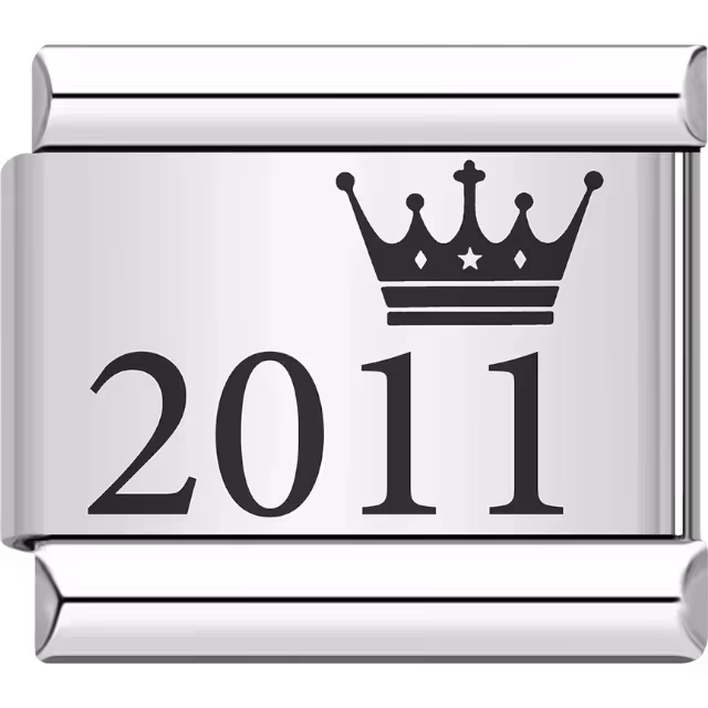 2011 Year Charm