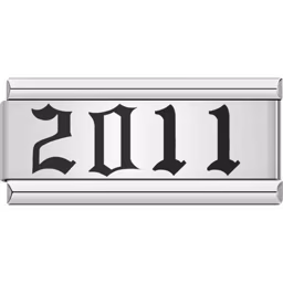 2011 Year Charm Silver