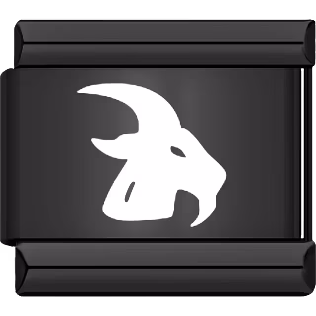 Capricorn Zodiac Charm