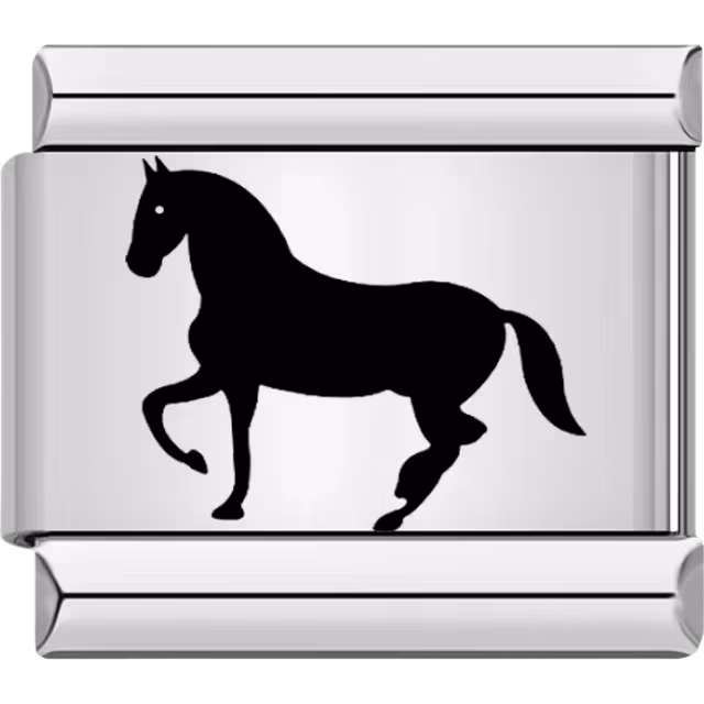 Black Horse Charm