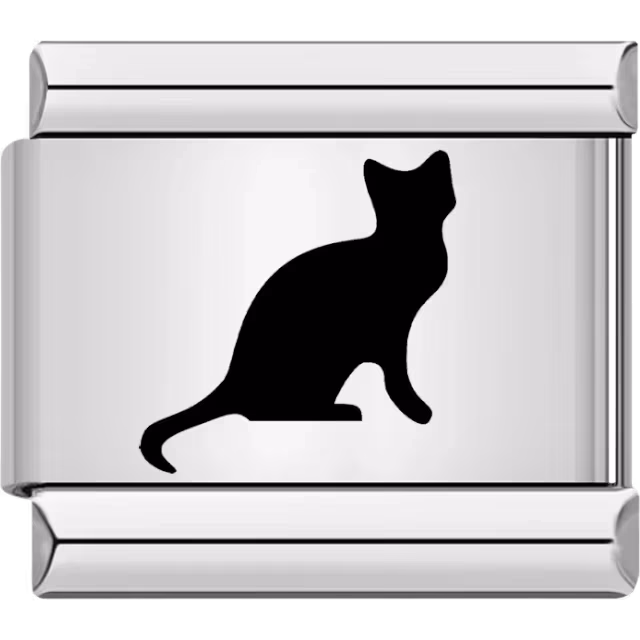 Black Cat Charm