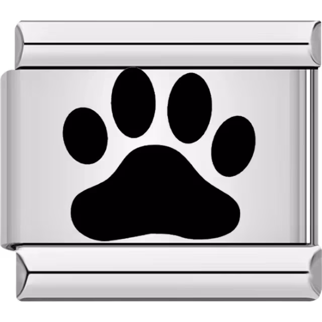 Black Paw Charm