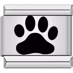 Black Paw Charm Silver