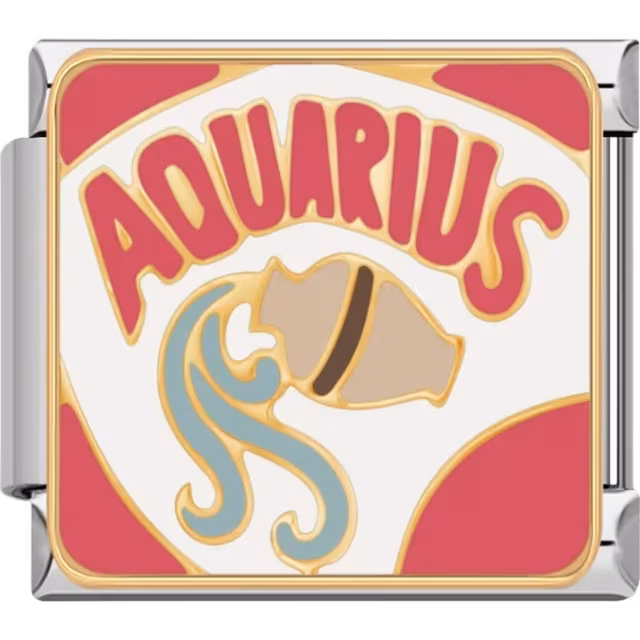 Aquarius Zodiac Charm