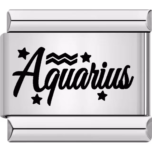 Aquarius Zodiac Charm