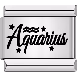 Aquarius Zodiac Charm Silver