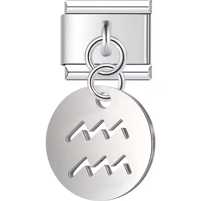 Aquarius Zodiac Dangle Charm