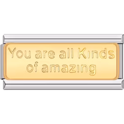 All Kinds of Amazing Charm Silver