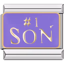 #1 Son Charm Silver