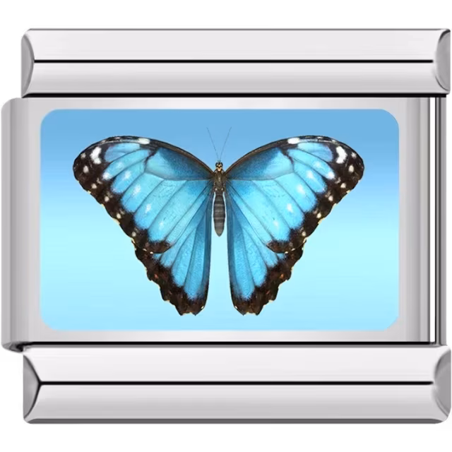 Blue Butterfly Charm