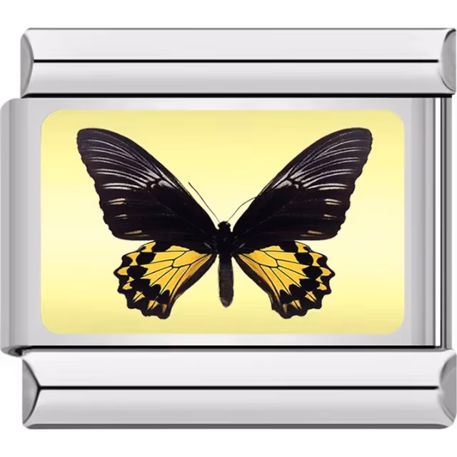 Black and Yellow Butterfly Charm