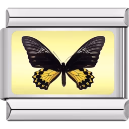 Black and Yellow Butterfly Charm Silver