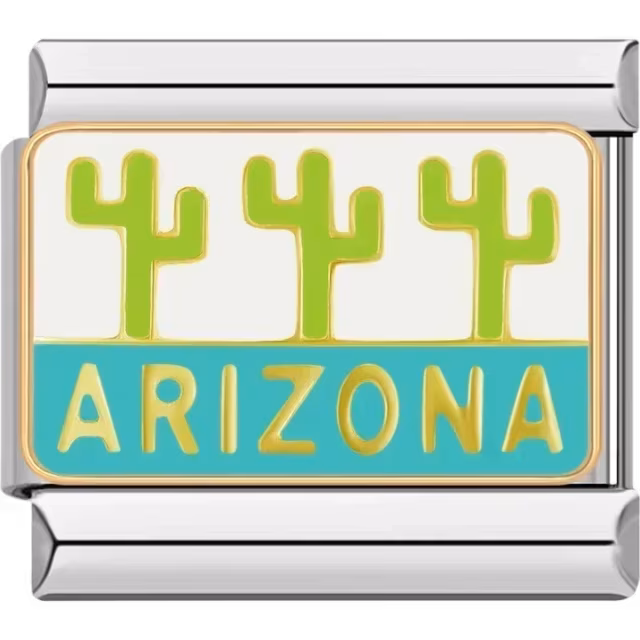 Arizona Cactus Charm