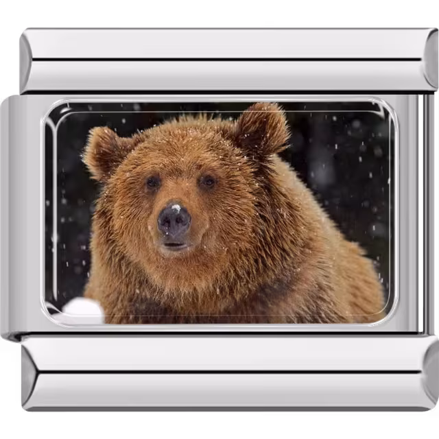 Brown Bear Charm