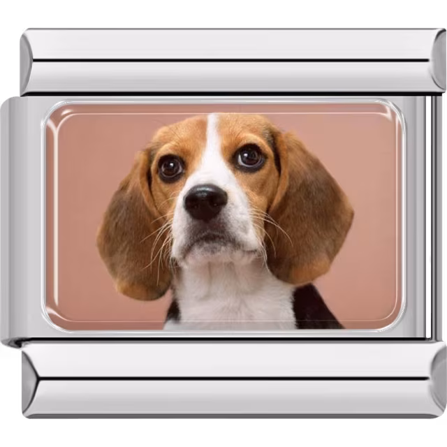 Beagle Dog Charm