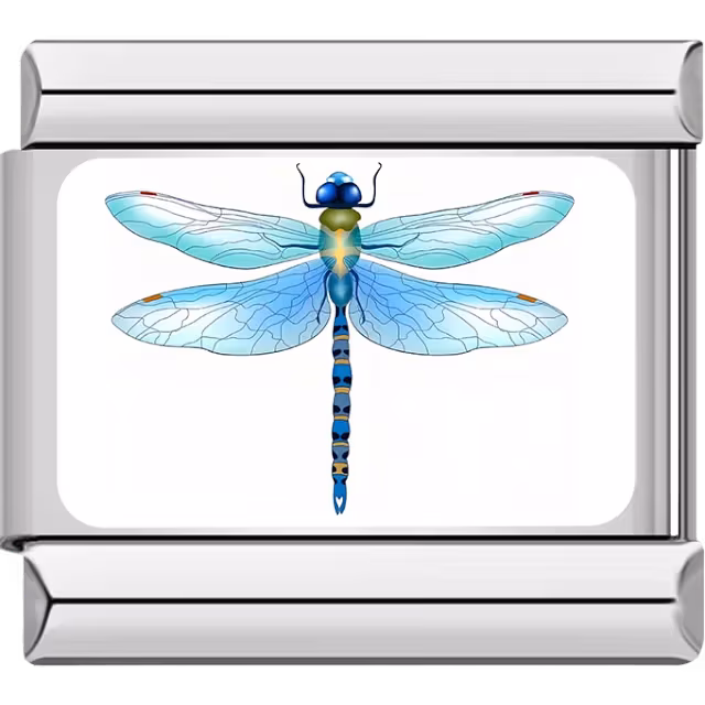 Blue Dragonfly Charm