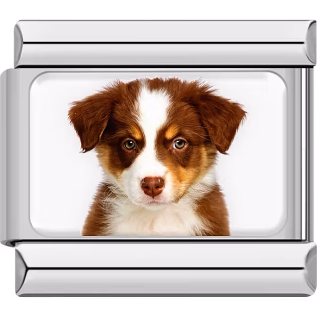Australian Shepherd Dog Charm