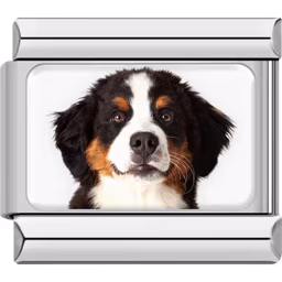 Bernese Mountain Dog Charm Silver