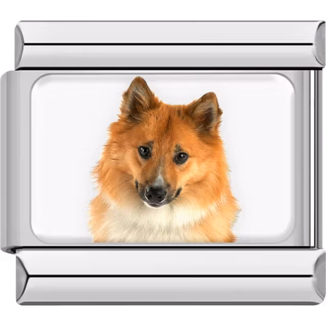 Shetland Sheepdog Dog Charm