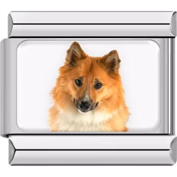 Shetland Sheepdog Dog Charm Silver