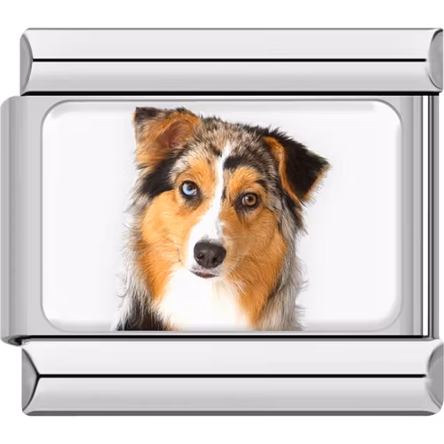 Australian Shepherd Dog Charm