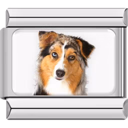 Australian Shepherd Dog Charm Silver
