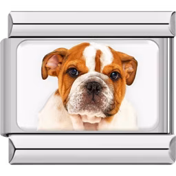 English Bulldog Dog Charm Silver