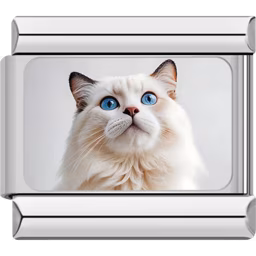Blue-Eyed Ragdoll Cat Charm Silver
