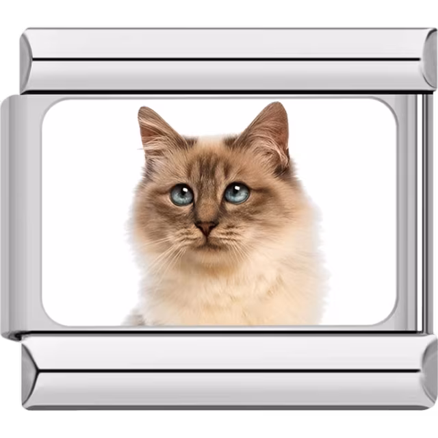 Siamese Cat Charm