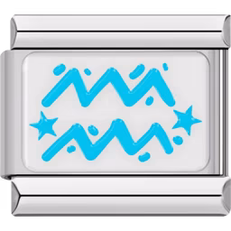 Aquarius Zodiac Charm Silver