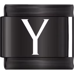 Black Letter Y Charm Black